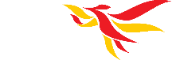Phoenix Accounting Group